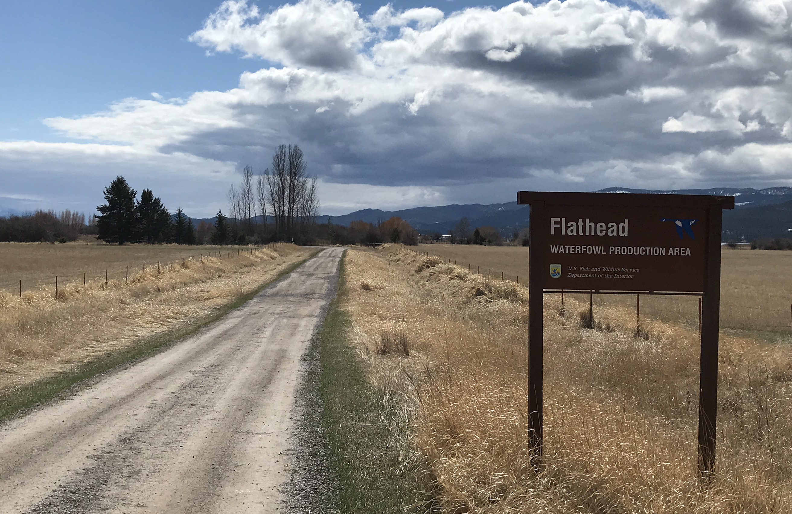 Part of Flathead Lake north shore closed for seasonal waterfowl production - Vimarsana News